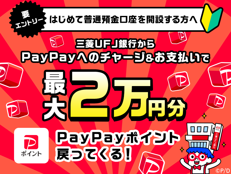 画像に alt 属性が指定されていません。ファイル名: ufj-paypay-2024.11.png